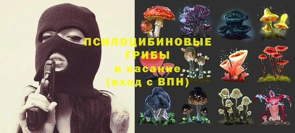 ГАЛЛЮЦИНОГЕННЫЕ ГРИБЫ Арсеньев