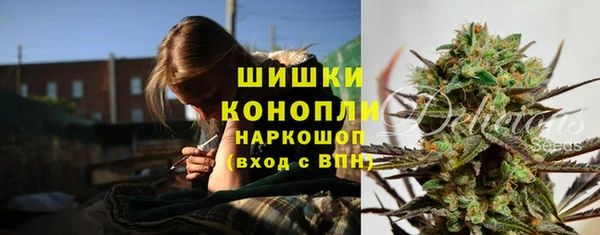 ГАЛЛЮЦИНОГЕННЫЕ ГРИБЫ Арсеньев