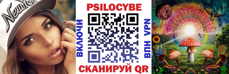 гидра рабочий сайт  Зима  Галлюциногенные грибы мицелий 